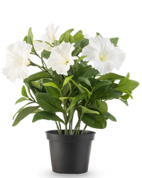 Fleur artificielle Pétunia plante 25 cm blanche