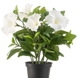 De Kunstbloem Petunia plant UV 25 cm groot heeft grote witte trompetvormige bloemen en weelderige groene bladeren in een zwarte plastic pot, tegen een effen witte achtergrond.