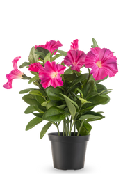 Fleur artificielle Pétunia plante 25 cm rose foncé