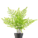 De Kunstplant Varen 35 cm is een kunstmatige groene varen met delicate, veerachtige bladeren in een eenvoudige zwarte plastic pot, tegen een effen witte achtergrond.