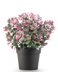 Plante artificielle Eucalyptus violet en pot 22 cm UV