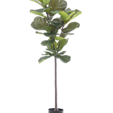 De Kunstplant Ficus Tabaksplant Deluxe 155 cm heeft brede groene bladeren en wordt geleverd in een zwarte pot, afgebeeld tegen een effen witte achtergrond.