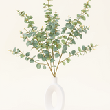 Een moderne witte vaas met een open cirkelvormig ontwerp bevat het Zijden kunstbloemen boeket Eucalyptus, met kunstmatige eucalyptustakken met ronde groene bladeren tegen een effen gebroken witte achtergrond.