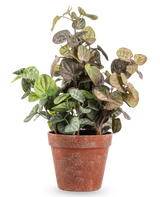 De Kunstplant Peperomia 35 cm heeft ronde groene en paarsgetinte bladeren in een verweerde terracotta pot, tegen een effen witte achtergrond.