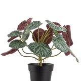 De Kunstplant Saxifraga 27 cm heeft groene bladeren met witte nerven en roodpaarse onderkanten, gepresenteerd in een eenvoudige zwarte pot tegen een effen witte achtergrond.