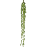 De Kunst hangplant Senecio 91 cm heeft lange, slingerende strengen met kleine ronde groene bladeren, die verticaal hangen tegen een effen witte achtergrond.