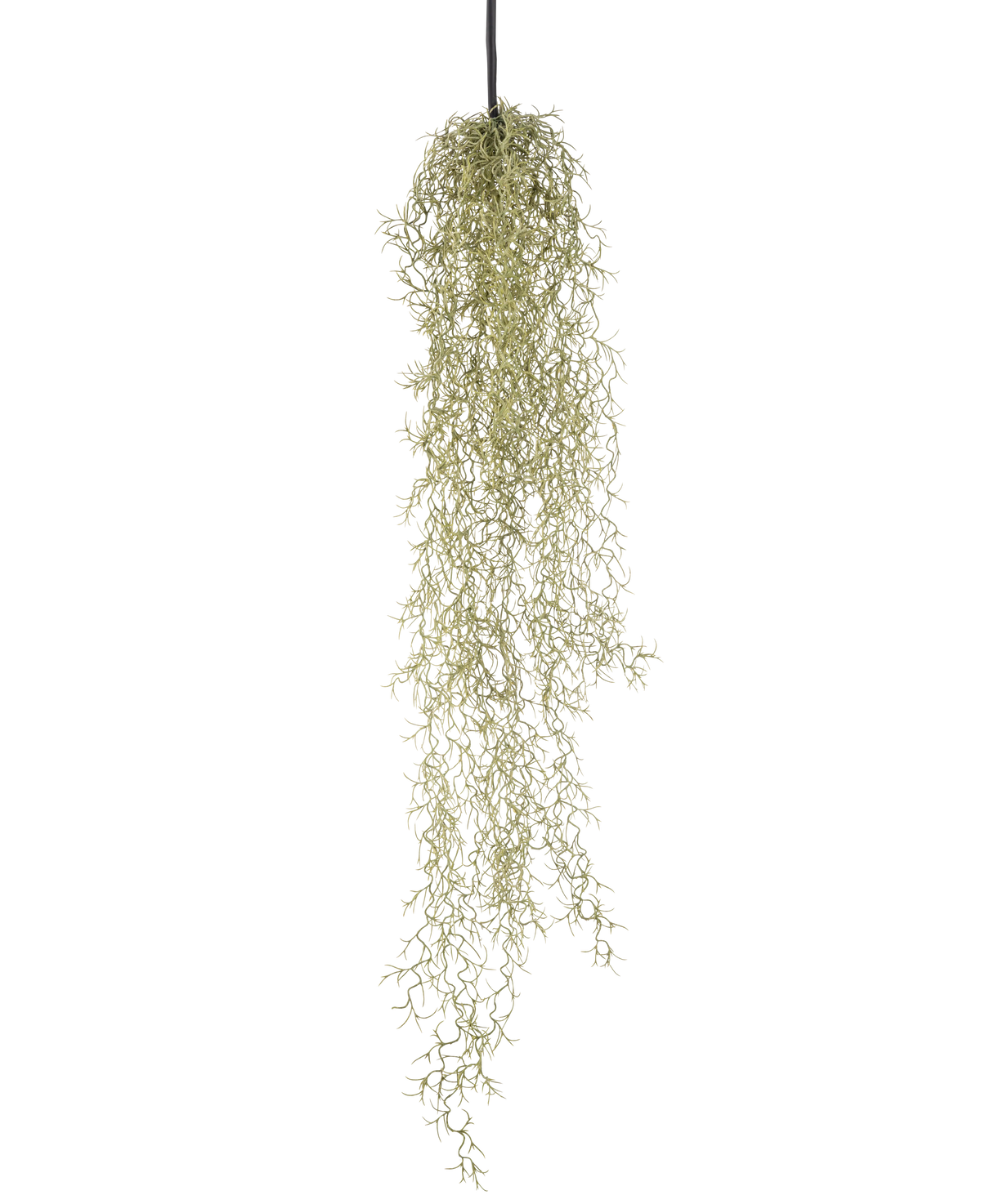 Een Kunst hangplant Gras 91 cm met lange, slepende lichtgroene bladeren hangt aan een zwart koord tegen een effen witte achtergrond.