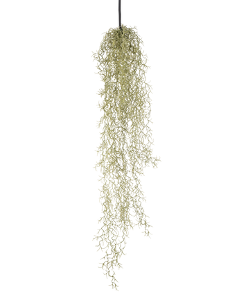 Een Kunst hangplant Gras 91 cm met lange, slepende lichtgroene bladeren hangt aan een zwart koord tegen een effen witte achtergrond.
