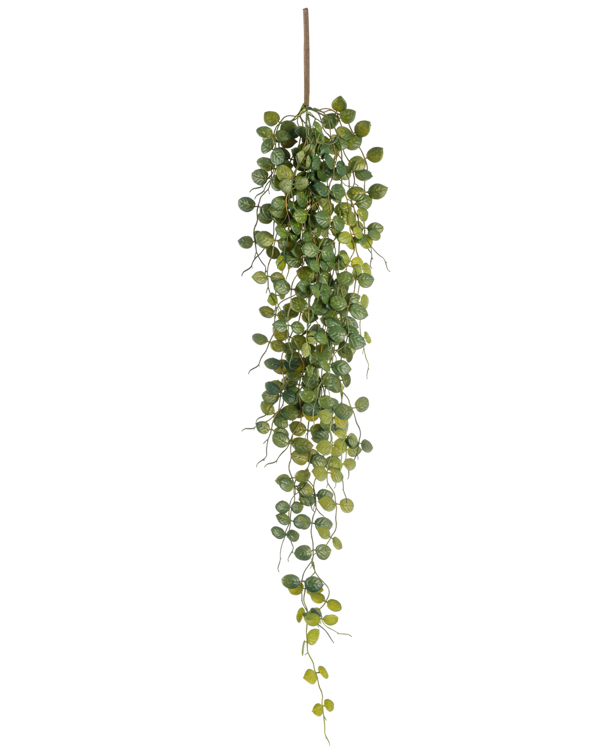 De Kunst hangplant Pumila 96 cm heeft kleine ronde groene blaadjes die aan één bruine stengel hangen, waardoor een levensecht trailing effect ontstaat. Afgebeeld tegen een witte achtergrond voegt deze kunstplant groen toe zonder onderhoud.