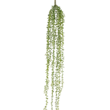 De Kunst hangplant Senecio 91 cm heeft lange, hangende stengels met kleine groene blaadjes, waardoor een elegante kunst hangplant ontstaat tegen een effen witte achtergrond.