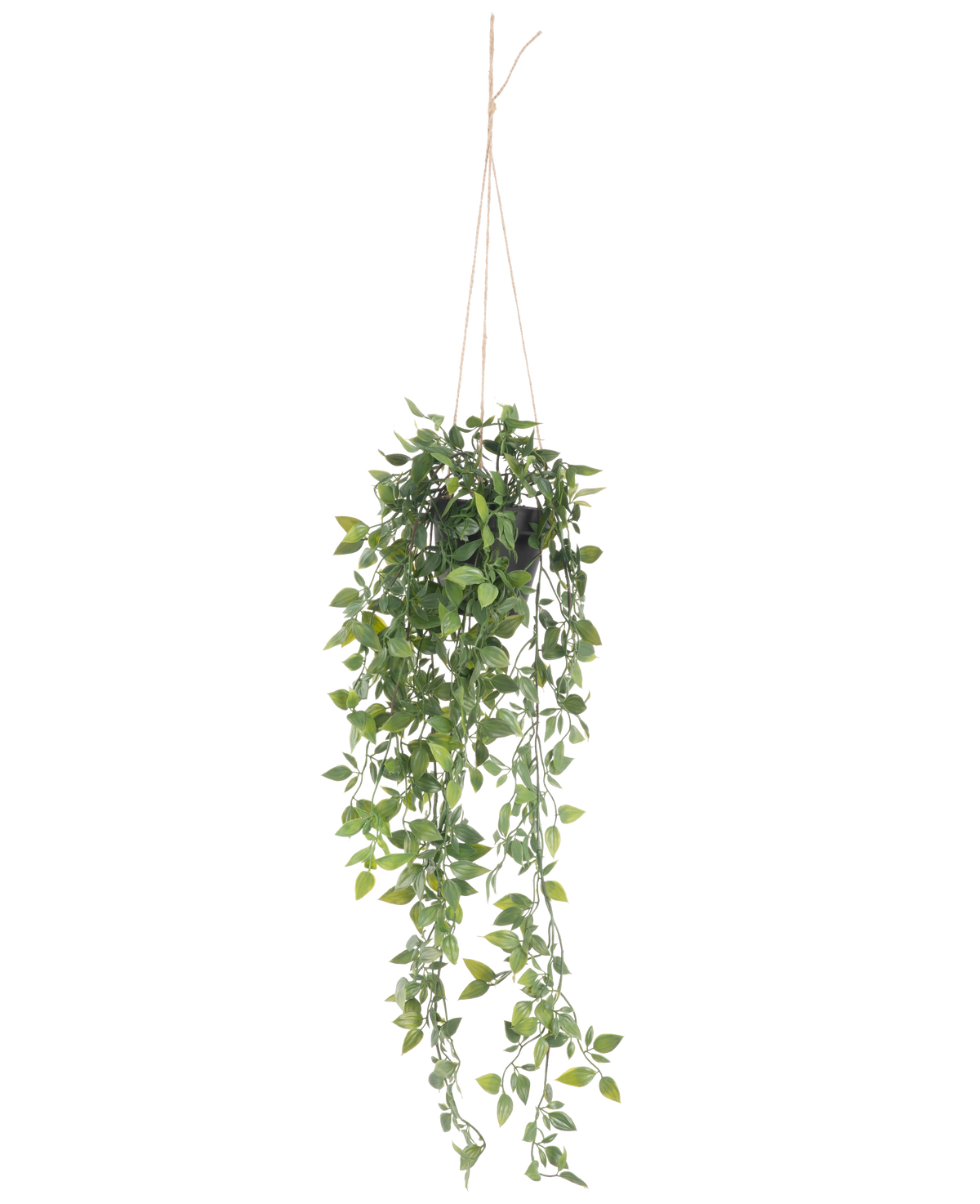 De Kunst hangplant Scindapsus in pot 73 cm heeft weelderige groene bladeren en lange slingerende ranken, opgehangen aan dun touw tegen een effen witte achtergrond.