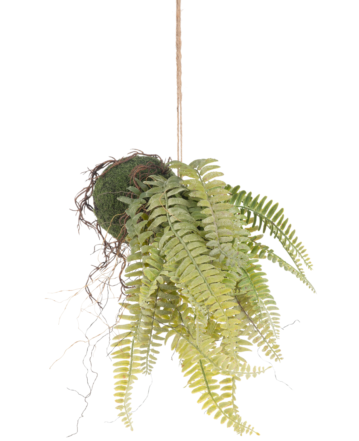 De Kunst hangplant Frosted Varen op bal 76 cm heeft levensechte groene varenbladeren en blootliggende wortels in kokedama stijl, hangend aan een bruin koord - perfect om blijvend groen toe te voegen aan elke kamer.