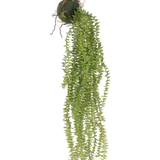 De Kunst hangplant Phlegmariurus bal 55 cm heeft weelderige, hangende groene bladeren die uit een met mos bedekte bal cascade vormen, opgehangen aan touw voor een stijlvolle display tegen elke achtergrond.