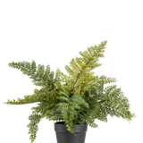 De Kunstplant Varen 33 cm is een weelderig groene kunstvaren met gevederde bladeren in een eenvoudige zwarte pot, afgebeeld tegen een effen witte achtergrond.