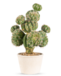 Cactus artificiel 32 cm