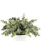 De Kunstplant Eucalyptus 23 cm heeft weelderige, ronde groene bladeren en wordt geleverd in een eenvoudige witte pot, perfect om elke ruimte op te fleuren met zijn natuurlijke uitstraling tegen een effen achtergrond.