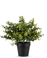 De Kunstplant Pumila 25 cm is een kleine kunstplant in pot met weelderige groene bladeren in een eenvoudige zwarte pot, afgebeeld tegen een effen witte achtergrond.