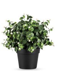 Plante artificielle Eucalyptus blanc en pot 22 cm UV