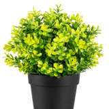 De Kunstplant Rozemarijn UV 22 cm heeft heldergroene en gele bladeren in een effen zwarte plastic pot, tegen een witte achtergrond.