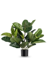 De Kunstplant Rubberplant 51 cm heeft weelderige, brede diepgroene bladeren in een eenvoudige zwarte pot, tegen een effen witte achtergrond.