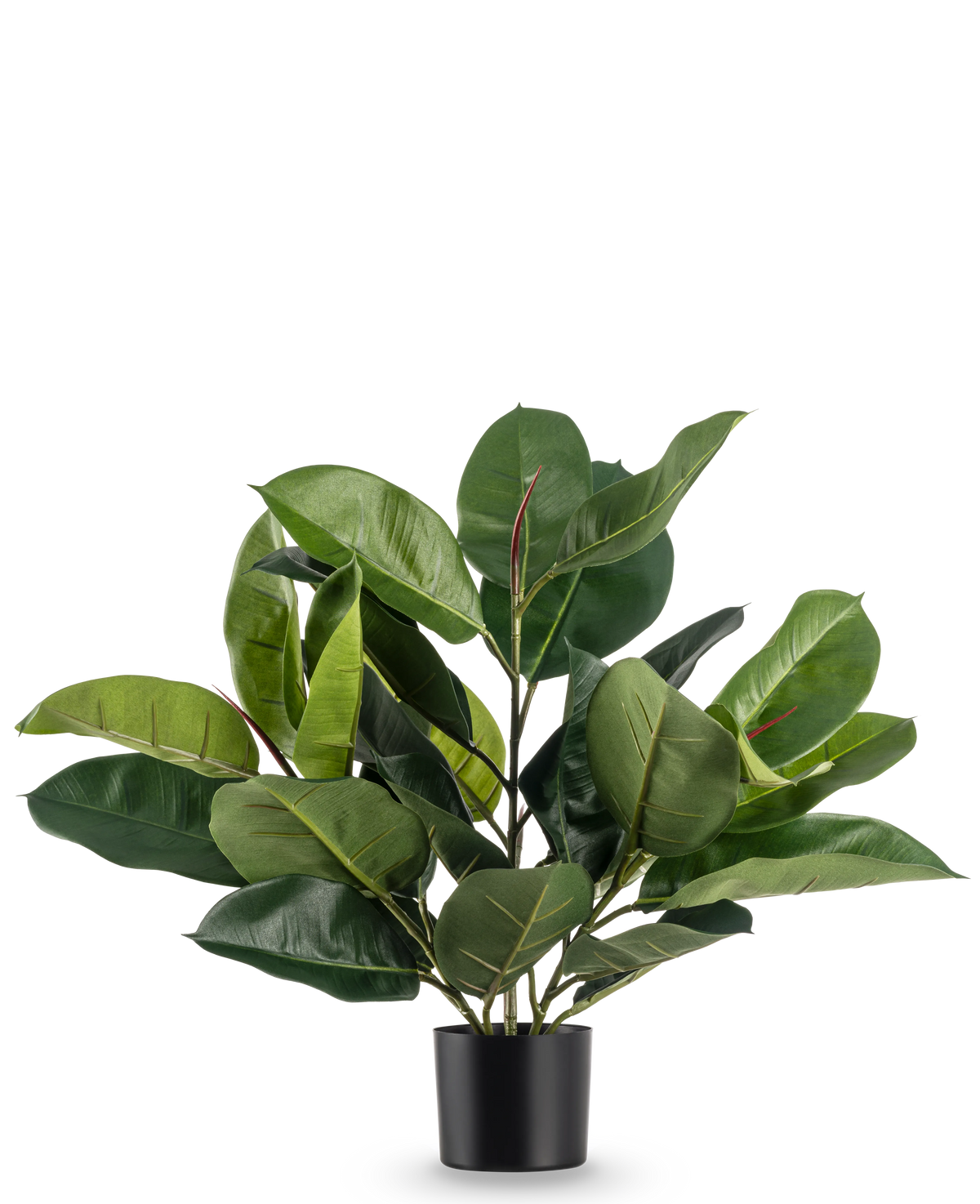De Kunstplant Rubberplant 51 cm heeft weelderige, brede diepgroene bladeren in een eenvoudige zwarte pot, tegen een effen witte achtergrond.