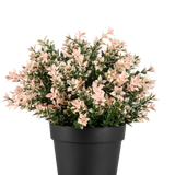 De Kunstplant Buxus roze UV 22 cm heeft dichte, kleine lichtroze en groene bladeren in een effen zwarte pot, tegen een witte achtergrond.