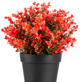 De Kunstplant Buxus rood in pot UV 19 cm is een compacte zwarte bloempot met een weelderige mix van rode en groene kunstbladeren tegen een effen witte achtergrond.