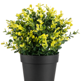De Kunstplant Buxus geel in pot UV 19 cm heeft kleine groene en gele bladeren in een eenvoudige zwarte pot, tegen een effen witte achtergrond.