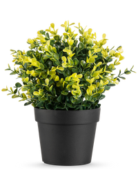 Kunstplant Buxus geel in pot UV 19 cm