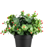 De Kunstplant Eucalyptus rood in pot UV 22 cm heeft groene bladeren en kleine rode knoppen in een eenvoudige zwarte pot, tegen een effen witte achtergrond.