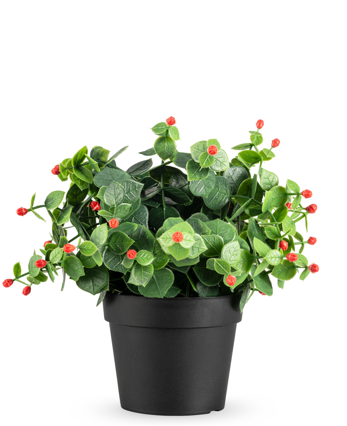 De Kunstplant Eucalyptus rood in pot UV 22 cm heeft groene bladeren en kleine rode knoppen in een eenvoudige zwarte pot, tegen een effen witte achtergrond.