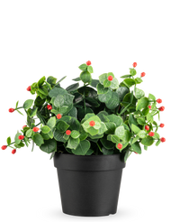 Plante artificielle Eucalyptus rouge en pot 22 cm UV