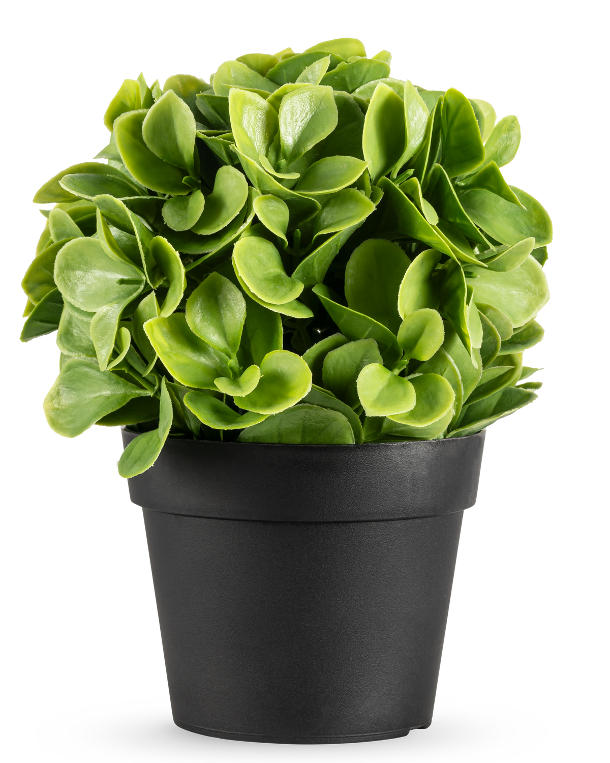 De Kunstplant Murraya UV 20 cm is een kleine, ronde kunstplant met weelderige groene bladeren in een eenvoudige zwarte pot, tegen een effen witte achtergrond.