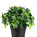 De Kunstplant Klimop in pot UV 20 cm heeft groene, stervormige kunstmatige klimopbladeren in een eenvoudige zwarte pot, afgebeeld tegen een witte achtergrond.