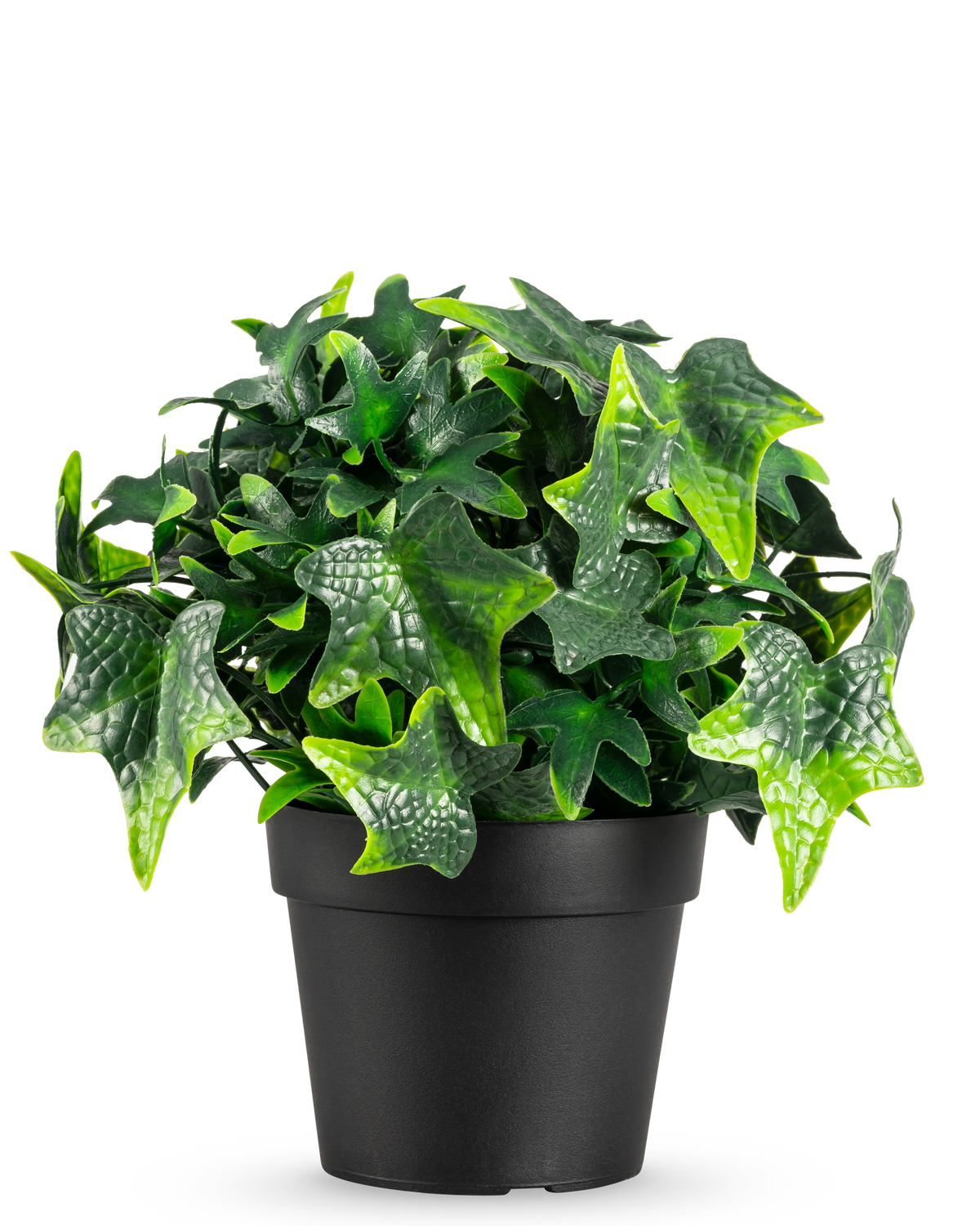 De Kunstplant Klimop in pot UV 20 cm heeft groene, stervormige kunstmatige klimopbladeren in een eenvoudige zwarte pot, afgebeeld tegen een witte achtergrond.