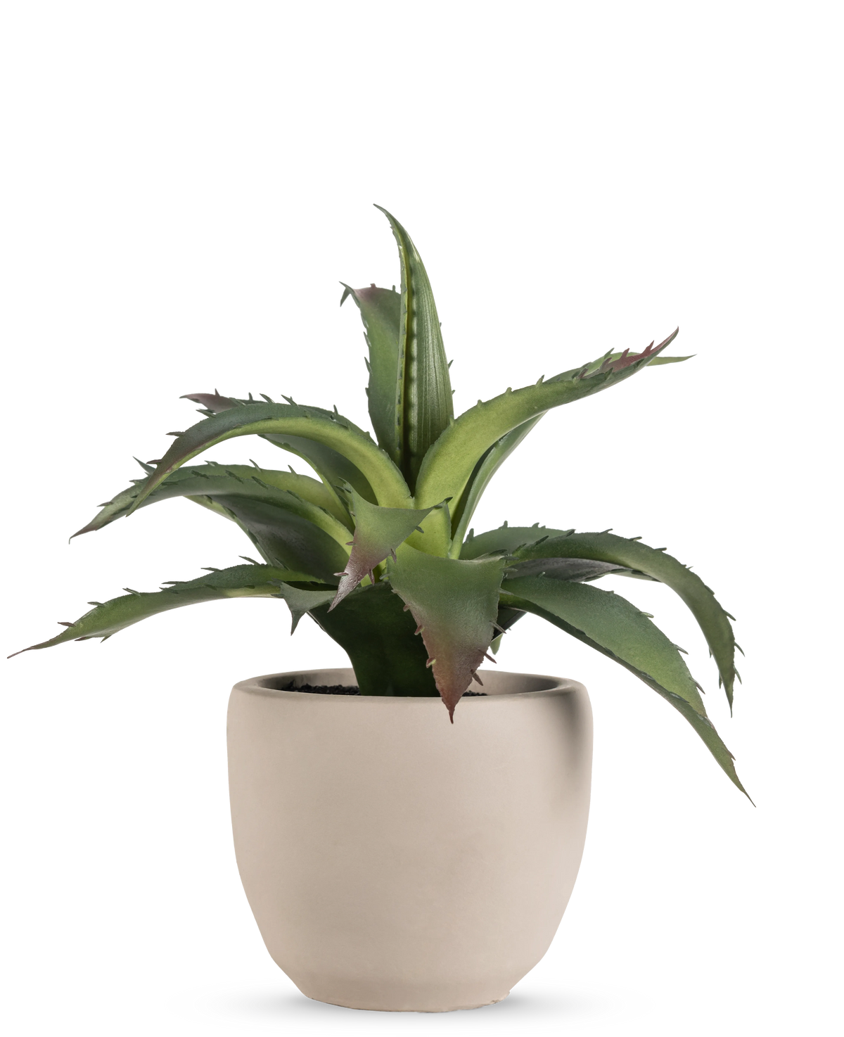 De Kunst vetplant 20 cm in sierpot heeft groene, puntige stekelige bladeren in een eenvoudige ronde pot van lichtbeige keramiek tegen een effen witte achtergrond.