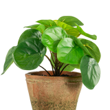 De Kunstplant Pilea in pot mini UV 15 cm heeft ronde, glanzend groene bladeren in een verweerde bruine terracotta pot, tegen een effen witte achtergrond.