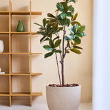 De Kunstplant Yulaniaboom 180 cm, met grote groene bladeren, staat op een lichte vloer naast een houten schap met een groene vaas en wit item, tegen een beige muur in een moderne, minimale kamer.