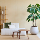 Een moderne woonkamer met een witte bank, groene en beige kussens, twee ronde houten salontafels, een Kunstplant Alocasia 180 cm en een houten stellingkast met een minimaal decor tegen een beige muur.