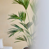 Een Kunstplant Kentia Palm 180 cm staat naast een wit gestoffeerde bank tegen een beige muur, met de rechterkant van het beeld gedeeltelijk verborgen door een mat of onscherp gedeelte.