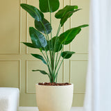 De Kunstplant Strelitzia 180 cm real touch staat op een lichte vloer bij een witte bank en een geweven vloerkleed, tegen een lichtgroene wand met panelen, waarbij de brede groene bladeren een natuurlijke touch toevoegen.