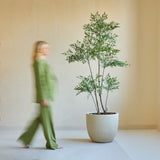 Een persoon in het groen loopt langs de Kunstplant Ruscus 180 cm, een hoge potplant in een minimalistische kamer met lichte muren, een raam en een houten plank. De figuur lijkt vaag in beweging.
