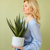 Een vrouw met lang blond haar in een lichtblauwe blouse en blauwe broek houdt de Kunstplant Aloë Vera 43 cm in een pot tegen een effen lichtgroene achtergrond.