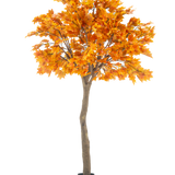 De Kunstboom Esdoorn 280 cm is een hoge kunst esdoorn met levendige oranje herfstbladeren in een zwarte pot, geïsoleerd op een witte achtergrond.