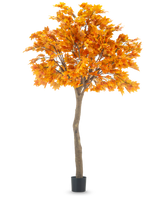 De Kunstboom Esdoorn 280 cm is een hoge kunst esdoorn met levendige oranje herfstbladeren in een zwarte pot, geïsoleerd op een witte achtergrond.