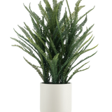 De Kunstplant Bostonvaren 127 cm heeft lange, smalle groene bladeren die omhoog en naar buiten groeien. Ze staat in een gladde witte pot tegen een effen witte achtergrond.