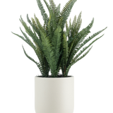 De Kunstplant Bostonvaren 82 cm heeft lange, smalle groene bladeren en wordt geleverd in een eenvoudige ronde witte pot, tegen een effen witte achtergrond.