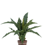 De Kunstplant Nestvaren 49 cm heeft lange, golvende groene bladeren in een bruine kleipot, tegen een effen witte achtergrond.