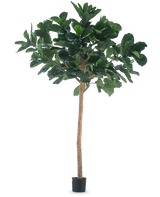 De Kunstboom Tabaksplant 260 cm is een hoge kunstplant met weelderige groene bladeren en een slanke bruine stam, in een compacte zwarte pot en tegen een effen witte achtergrond.