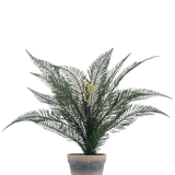Kunstplant Phoenixvarenblad 39 cm in een eenvoudige, verweerde terracotta pot met weelderige, vederlichte groene bladeren tegen een effen witte achtergrond.